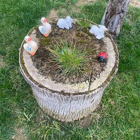 Feriehus With Pool In The Heart Of Oura - *